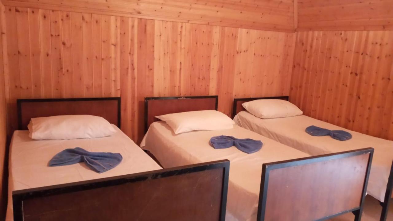 Bujtina Carku Hotel Theth Ngoại thất bức ảnh